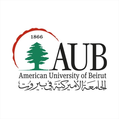 AUB University